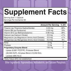 Lipase Protease Enzymes